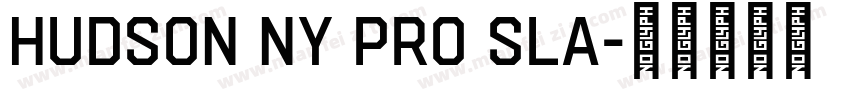 Hudson NY Pro Sla字体转换
